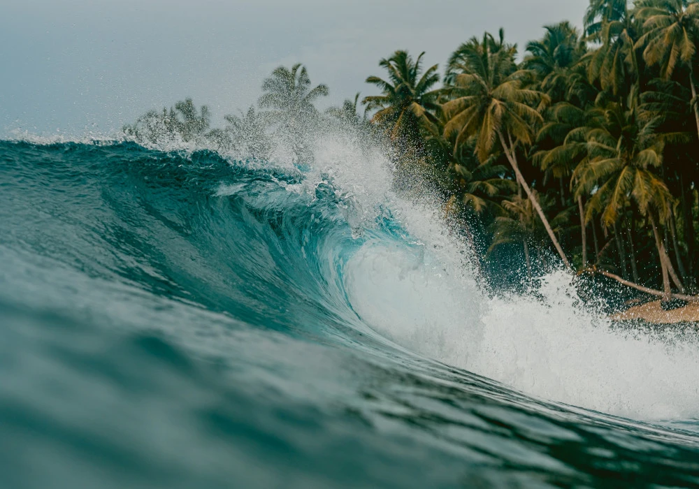 Pipeline-and-Surf-Culture