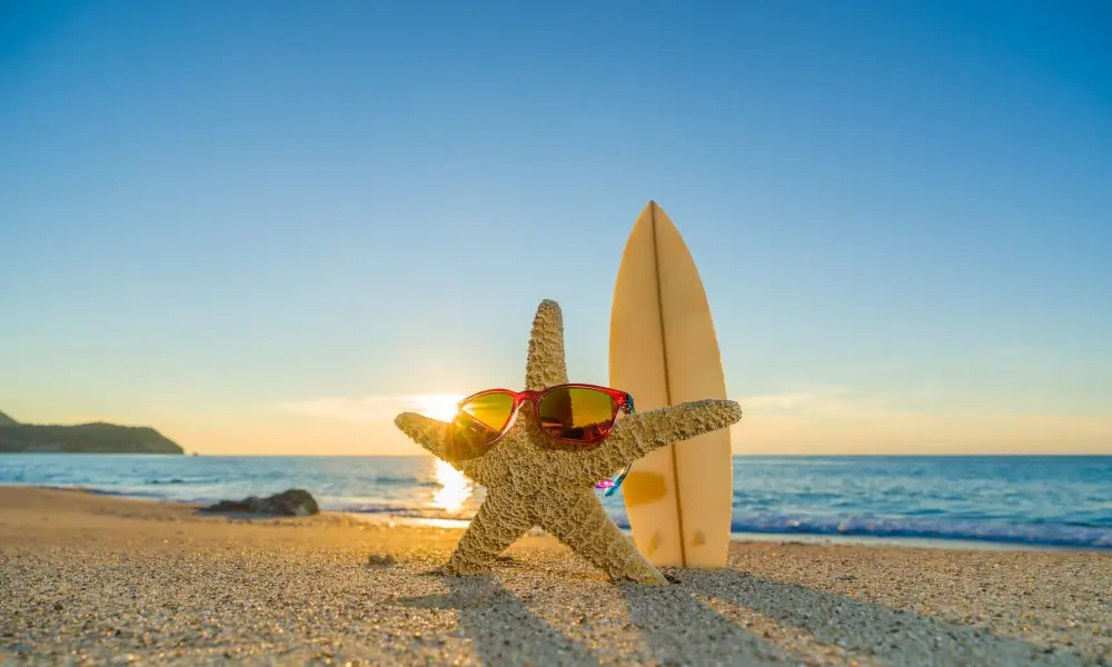 starfish-with-sunglasses-on-the-beach